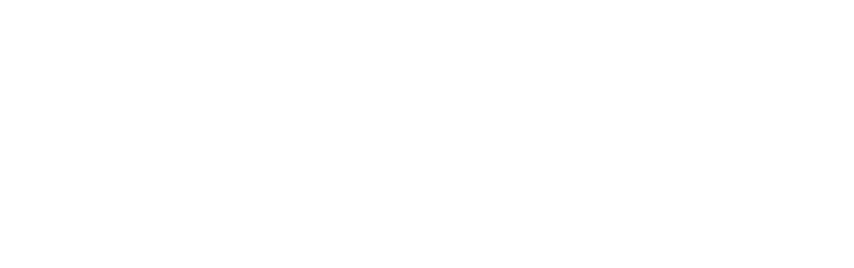 TECHNOLOGY × INNOVATION Pioneers in technological innovation from automotive parts to the aerospace industry